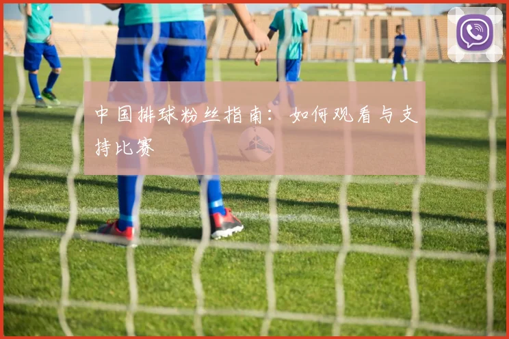 中国排球粉丝指南：如何观看与支持比赛