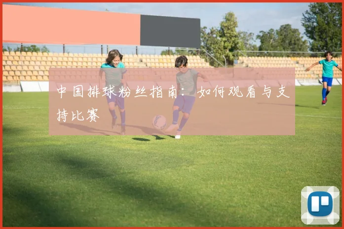中国排球粉丝指南:如何观看与支持比赛