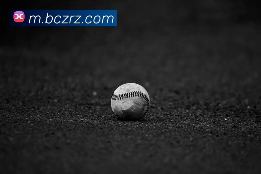 奖项2